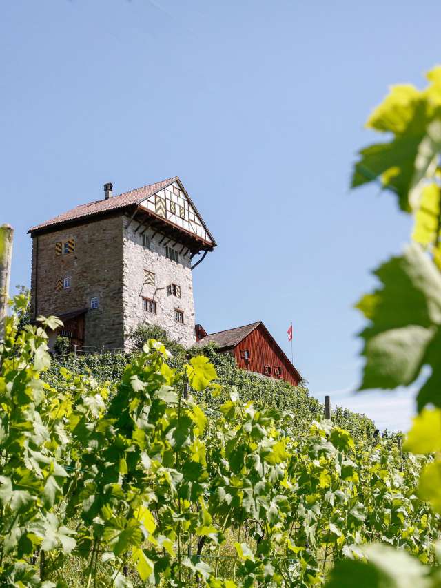 Hier gefällt es mir. Hier bleibe ich.