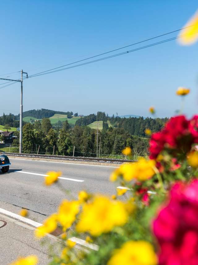 Textilland in 24 Stunden