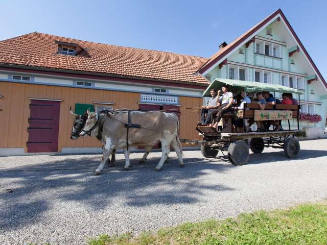 Waldegg experience